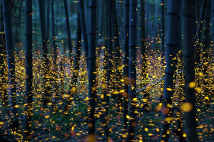 无畏契约新特工登场,技能组颠覆传统战术体系!